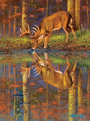 Immagine prodotto di Puzzle SunsOut Cosa c'è sotto di noi? - puzzle da 1000 pezzi
