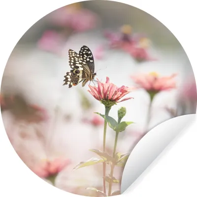 Produktbild von MuchoWow® Runde Wandtattoo - Wandsticker Tapete Aufkleber Schmetterling - Blume - Rosa Ø 80 cm Selbstklebend und Repositionierbar - Wandaufkleber - Kreis - Mauerkreis - Wand Bilder - Wandsticker - Wohnzimmer Dekoration - Dekoration für die Wände - Aluminium - Babyzimmer