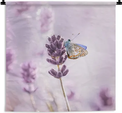 Produktbild von MuchoWow® Wandteppich Wandbehang Lavendel - Schmetterling - Nahaufnahme - Lila 120x120 cm Tapisserie Dekoration Wandtuch - Modern - Baumwollgewebe