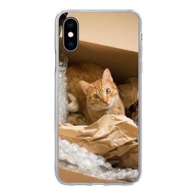 Produktbild von MuchoWow® Handyhülle Schutzhülle Hülle für iPhone X Katze - Box - Rot Silikon Softcase Handy Hülle - Handyhülle