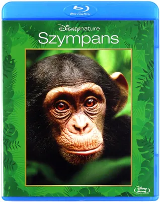 Produktbild von Schimpansen (nur Originalversion) [BLU-RAY]