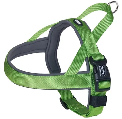 Productafbeelding van Nobby Norweger Classic Preno, neongroen/grijs, buikomvang: 38-50 cm