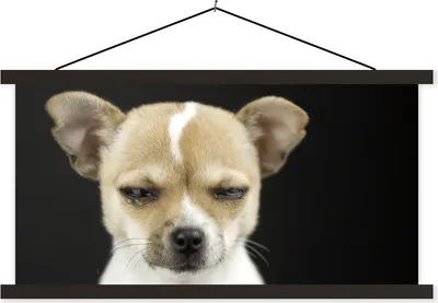Produktbild von MuchoWow® Textilposter Hund - Haustiere - Porträt 150x75 cm mit schwarzem Rahmen - Posterleiste