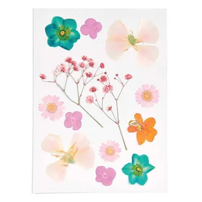 Produktbild von Rico Design Mix Set gepresste Blüten "Orange Türkis"