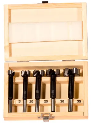 Image de Fischer Mèches à bois D-WFo Set (5 pièces) - 551442