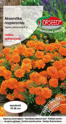 Zdjęcie produktu dla Nasiona aksamitki rozpierzchłej niskopomarańczowej 1g - Torseed