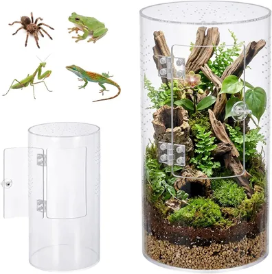 Imagen del producto de Terrario cilíndrico, de acrílico, 15 x 15 x 30 cm, ideal para arañas arborícolas