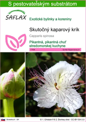 Obrázok produktu pre SAFLAX - Skutočný kaparový krík - Capparis spinosa - 25 Semená - S pestovateľským substrátom bez klíčkov