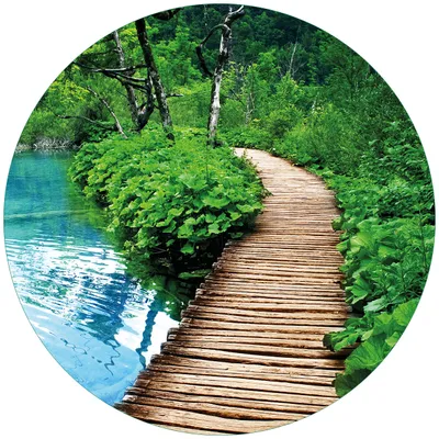 Produktbild von Wallario Premium Glasbild, freischwebende Optik, kräftige Farben, rund 50cm Durchmesser, Motiv Holzweg im Wald