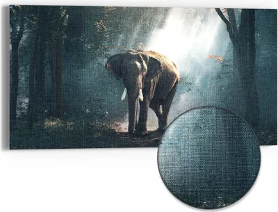 Produktbild von DEQORI Hybrid Leinwand Bild 60x30 cm 'Elefant im Wald' Wandbild Glas flach modern