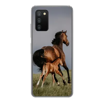 Produktbild von MuchoWow® Handyhülle Schutzhülle Hülle für Samsung Galaxy A03s Tiere - Pferde - Fohlen Silikon Softcase Handy Hülle - Schutz