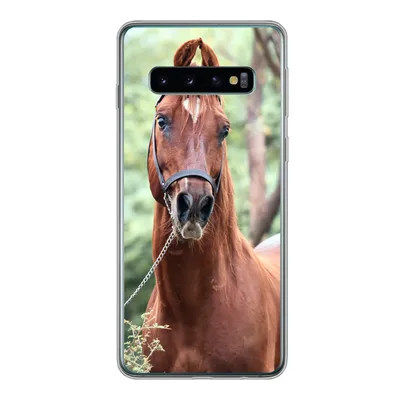 Produktbild von MuchoWow® Handyhülle Schutzhülle Hülle für Samsung Galaxy S10 Pferd - Wald - Halfter Silikon Softcase Handy Hülle - Handytasche