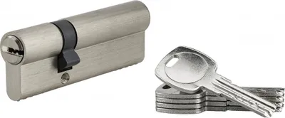 Image de Cylindre de serrure à double entrée, 30x60mm, nickel, 5 clés réversibles - SP