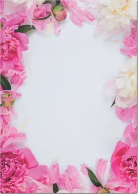 Produktbild von Motivpapier Briefpapier (Pfingstrosen-5100, DIN A4, 100 Blatt) wunderschöne weiße und lachsfarbene Päonien