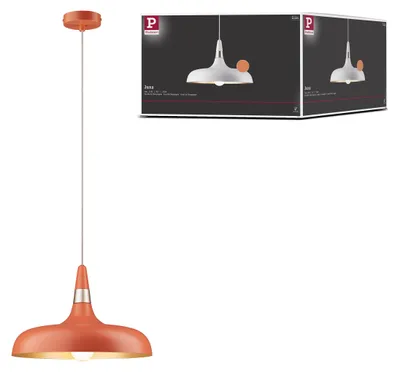 Image de Paulmann Neordic Lampe suspendue Juna