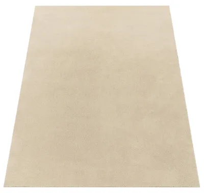 Produktbild von Moderner Wohnzimmer Teppich Kurzflor Waschbar Weich Felloptik Anti-Rutsch Grösse 240x340 cm