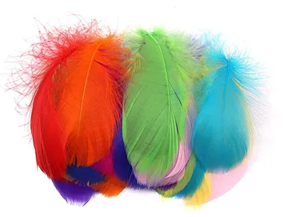 Bastelfedern, 100 Stück, bunt, 7–12 cm, Naturfedern, Mischfarbe A