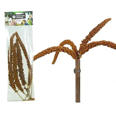 Immagine prodotto di Struzzo di miglio rosso di Back Zoo Nature | Struzzo di miglio rosso in orecchie | Trattamento per tutti i pappagalli 150g