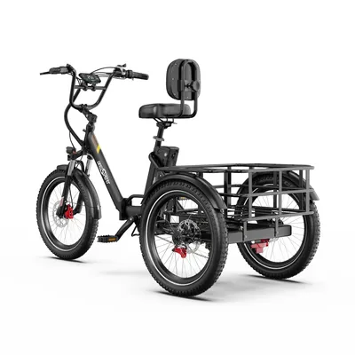 Produktbild von 2025 20 Zoll*3.0 18Ah Elektro-Dreirad MIT Korb E-Bike Lastenfahrrad E-Bike Klappräder Bafang Motor Aluminium Maximale Belastung 180KG Drehmomentsensor