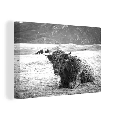 Produktbild von OneMillionCanvasses® - Leinwandbilder - 150x100 cm, Schottisches Hochlandrind - Berg - Tiere, Wandbilder Kunstdruck Wanddekoration