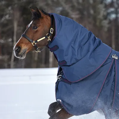 Produktbild von Horseware Rambo Optimo Hood 150g - Navy/Burgundy