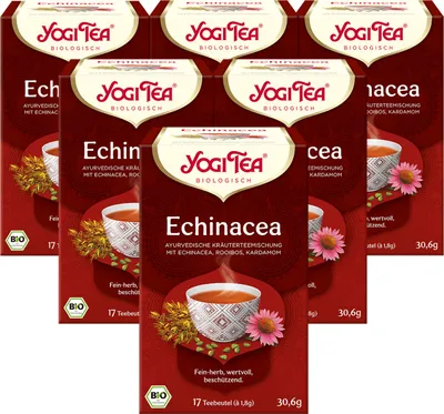 Produktbild von 6 x  YOGI TEA Echinacea | 6 x 30,6g
