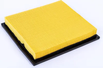 Produktbild von Hochwertiger Flachfaltenfilter passend für Nilfisk Alto Wap SQ 850-11, 61605