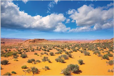 Produktbild von Wallario Wandbild Wüste in Arizona - blauer Himmel mit Wolken I, Größe: 61 x 91,5 cm, Poster mit rahmenlosen Bildhalter