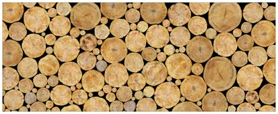 Produktbild von Wallario Premium Glasbild, freischwebende Optik, kräftige Farben, Größe 80 x 32 cm Motiv Holzstapel rund