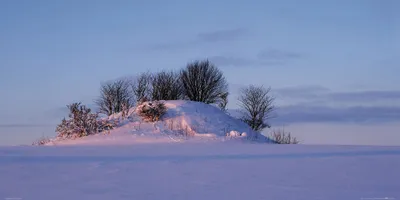 Obrázok produktu pre Zimný umelecký tlač obrazu - Scheelandschaft In Schimmerndem Winterlicht (50 x 100 cm)