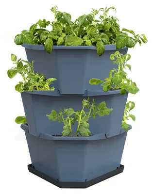 Produktbild von PAUL POTATO Kartoffelturm Starter Set blau (3 Etagen) | Kartoffeltürme von Gusta Garden
