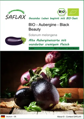 Produktbild von SAFLAX - BIO - Aubergine - Black Beauty - 25 Samen - Solanum melongena