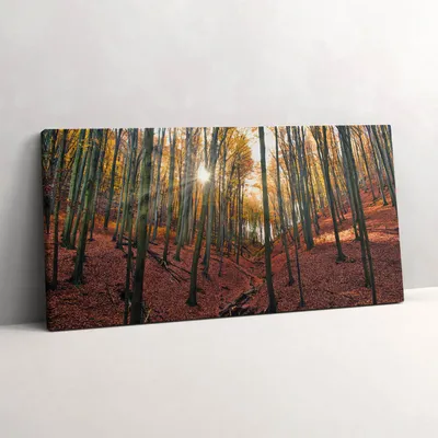 Produktbild von Sonnenuntergang und Bäume – Leinwandbild Wandbild – 140x70 cm – Leinwandbilder – Wandbilder – Schlafzimmer – Flur