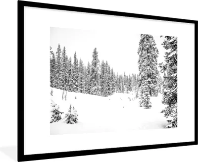 Produktbild von MuchoWow® MuchoWow® Gerahmtes Poster Bäume wachsen auf einem verschneiten Wald - schwarz und weiß 90x60 cm - Poster mit zchwarzem Bilderrahmen - Wanddekoration - Fotos