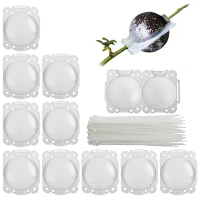Obrázok produktu pre Sada 10 plastových nádobik pre výsadbu rastlín, 5 cm