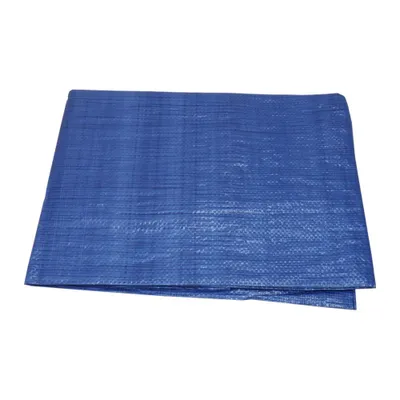 Obrázek produktu pro Krycí plachta 6x10 modrá