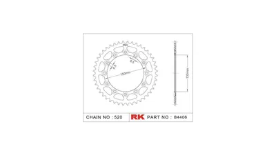 Immagine prodotto di Pignone RK "4406" 520, acciaio, argento 41 denti