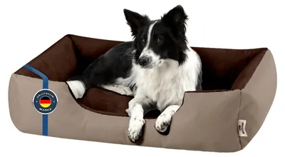 Produktbild von BedDog Hundebett LUPI Hundesofa Hundekissen waschbar,NAMIBSAND (beige/braun),(L) ca. 80x65x18cm