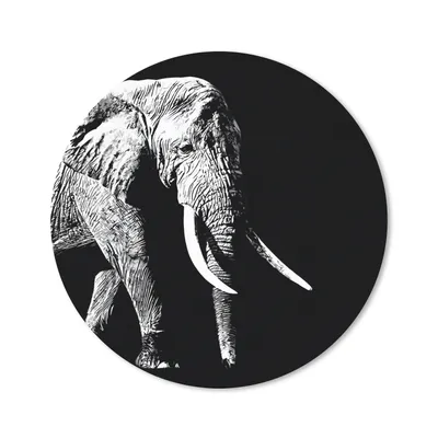 Produktbild von MuchoWow® Mauspad Mousepad Elefant - Tiere - Schwarz - Weiß 20x20 cm - Mousepads - Maus Mat - Pad - Mausunterlage - Schreibtischmatte