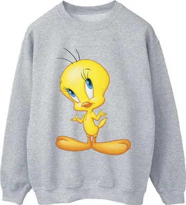 Produktbild von Looney Tunes - Sweatshirt für Damen BI24473 (XL) (Grau)