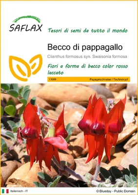 Immagine prodotto di SAFLAX  - Becco di pappagallo  - 20 semi - Clianthus
