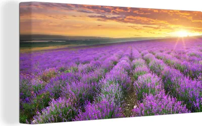 Produktbild von MuchoWow® - Leinwandbilder - Lavendel - Wolken - Frühling, Wandbild, Wanddeko Bilder Wohnzimmer, 80x40cm