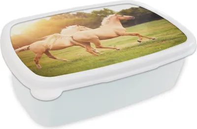 Produktbild von KitchenYeah® Lunchbox Brotzeit Brotdose 17x11 cm Pferde - Gras - Sonne Kinder Brotzeitdose - Lunch Box - Kinder - Sandwich-Box - Schulbox - Lunch Boxen