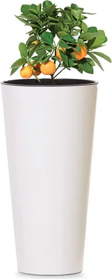 Immagine prodotto di Vaso Prosperplast TUBUS SLIM bianco lucido 30 cm