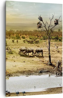 Produktbild von Bild auf Leinwand - Leinwandbild - Einteilig - Safari Tiere - 80x120cm - Wand Bild - Wanddeko - Wandbilder - Leinwanddruck - Kunstdruck - Wanddekoration - Leinwand bilder - Wandbild - PA80x120-3880