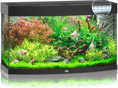 Productafbeelding van Juwel Vision 180 LED | 180L | 92 x 41 x 55CM Zwart