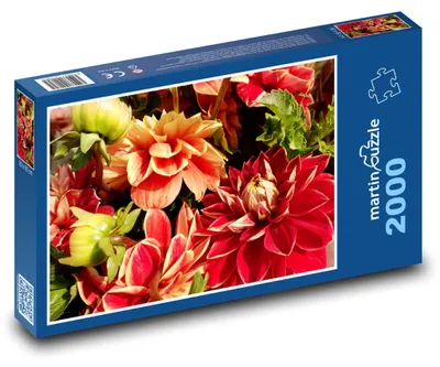 Zdjęcie produktu dla martinpuzzle - Puzzle 2000 - Jiřiny - kwiaty, ogród