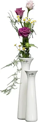 Obrázok produktu pre Sandra Rich 153-24-40, Váza okrúhleho tvaru, Porcelán, Biela, Tabuľka, Vnútorný, 240 mm