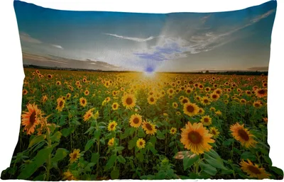 Produktbild von MuchoWow® Outdoor Kissen - Sonnenuntergang - Blumen - Sonnenblume - Horizont - Landschaft - 50x30 cm - Wetterfest - Lounge Kissen - Sofa kissen - Wohnzimmer Dekoration