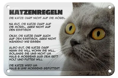 Produktbild von Blechschild Spruch 18x12cm Katzenregeln Katze darf nicht
